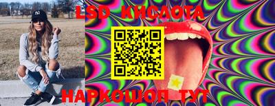 прущие крисы Кингисепп