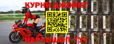 прущие крисы Кингисепп