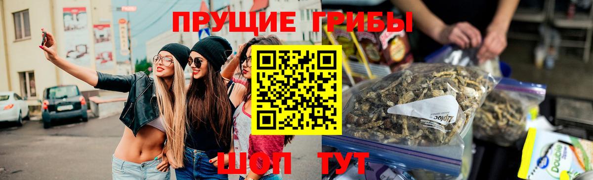 Галлюциногенные грибы Cubensis Гулькевичи